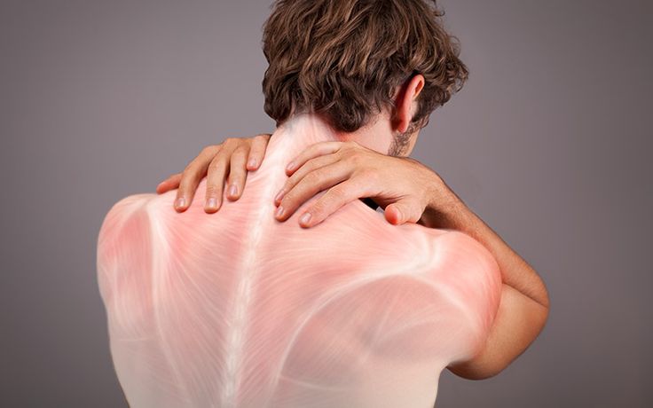 fascia muscular espalda