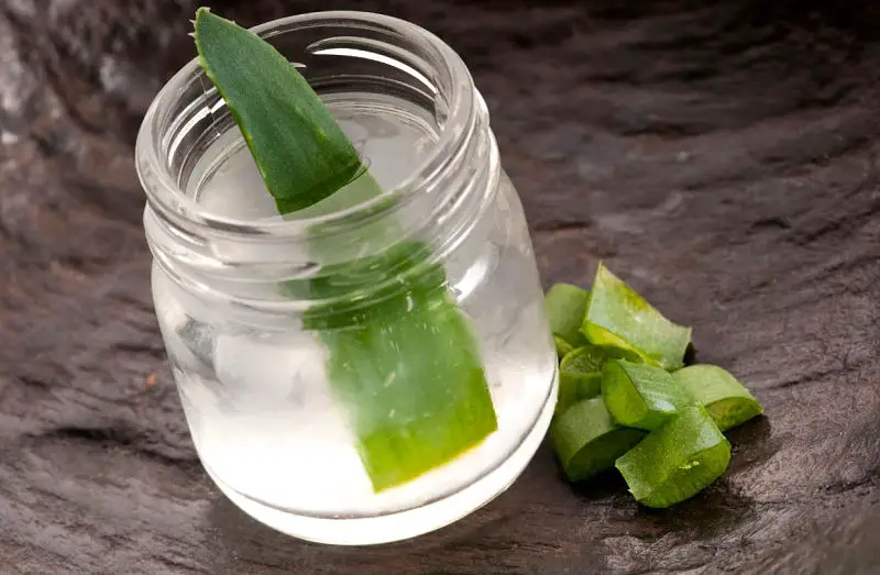 Gel de aloe vera relacionado con el tratamiento natural para la colitis ulcerosa