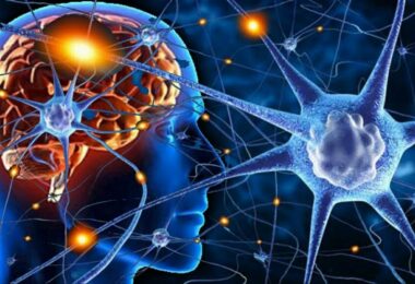 Beneficios del selenio para el cerebro