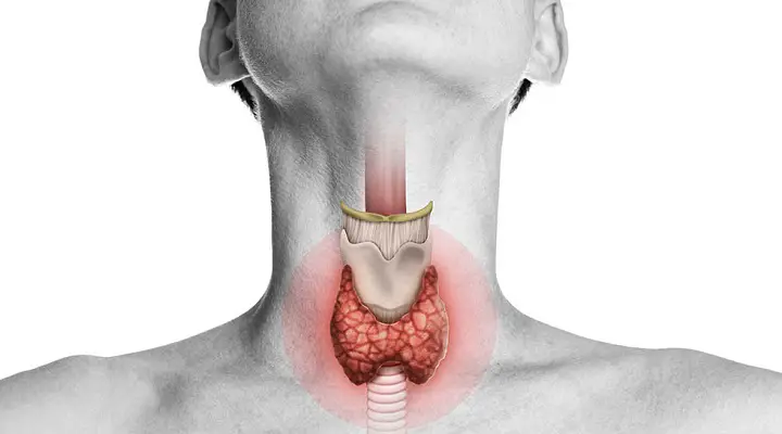 deficiencia de la vitamina d y la tiroides