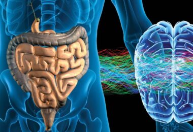 El intestino puede afectar el estado de ánimo y generar estrés