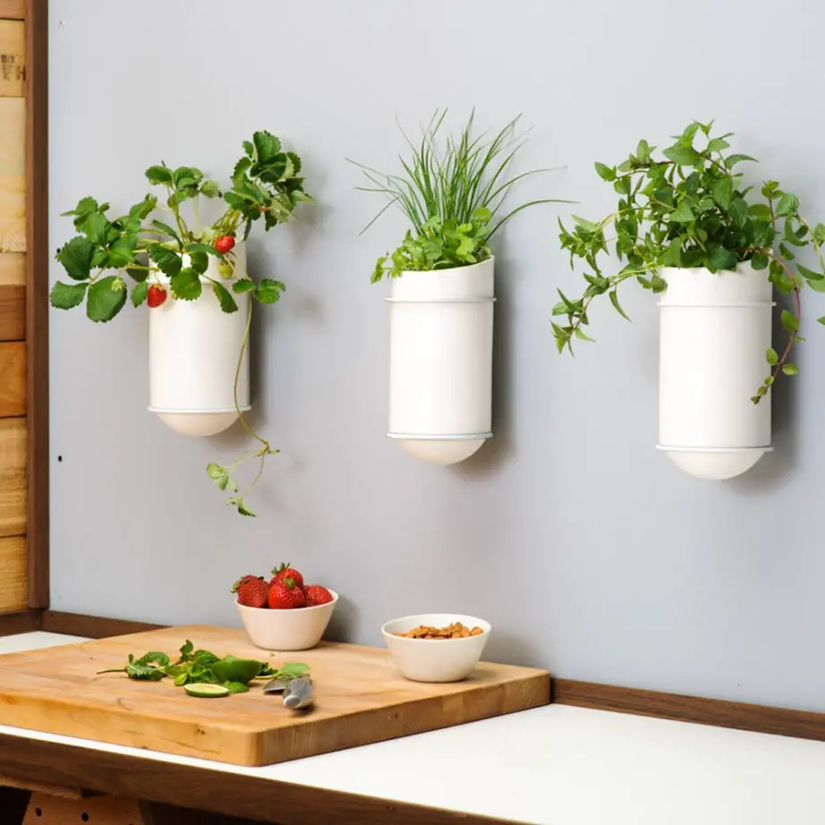 Decorar con plantas sobre la pared