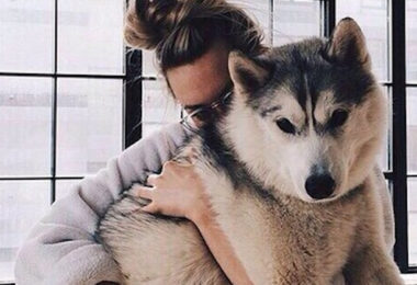 Si amas a tu perro como si fuera tu hijo
