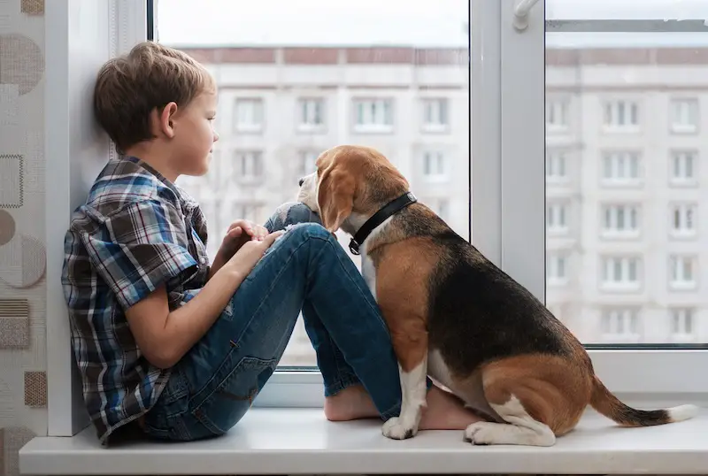 Niño mirando por la ventana con su perro