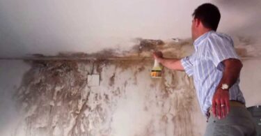 Cómo quitar las manchas de humedad de las paredes