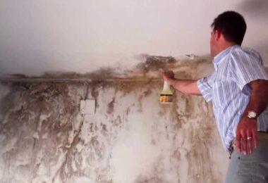 Cómo quitar las manchas de humedad de las paredes