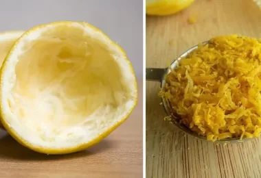 Cáscaras de frutas