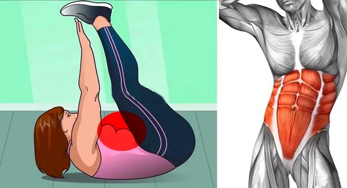 Ejercicios abdominales