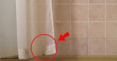 Cómo eliminar el moho de la cortina de tu baño