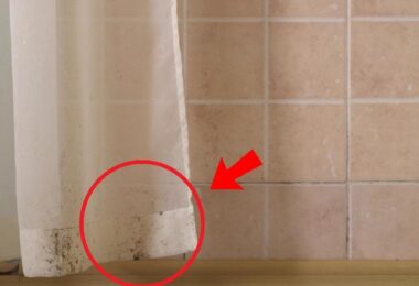 Cómo eliminar el moho de la cortina de tu baño