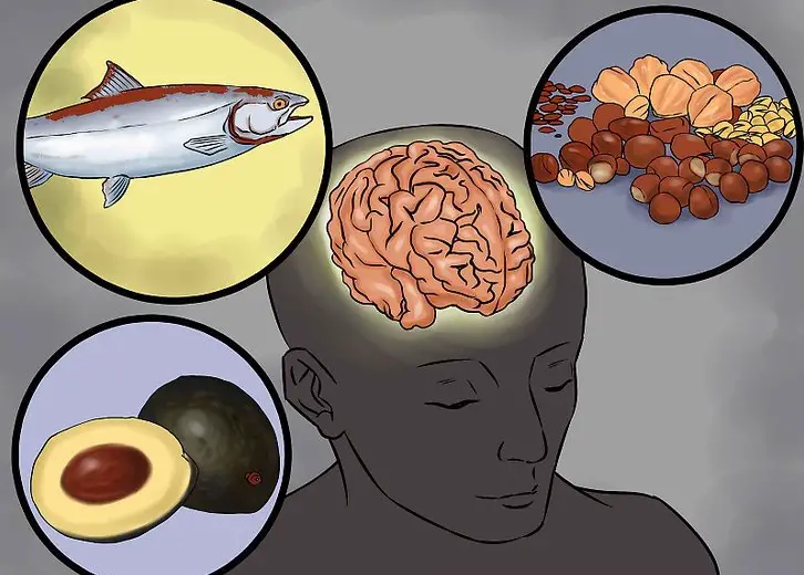 Efectos sobre el cerebro de la comida procesada