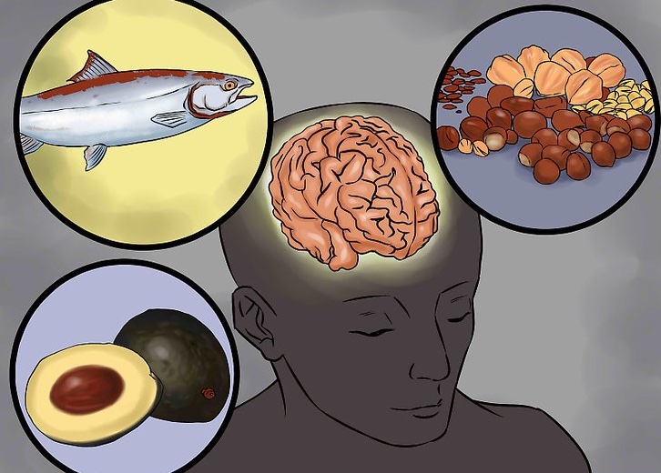 Efectos sobre el cerebro de la comida procesada