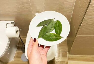 Hojas de laurel para perfumar toda la casa