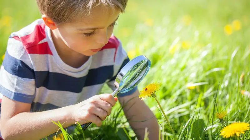 Niño feliz investigando en la naturaleza