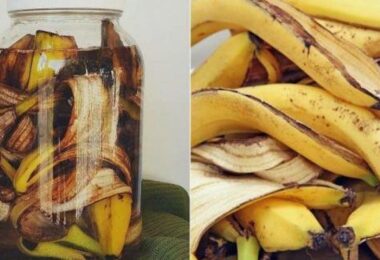 Agua de plátanos para regar las plantas