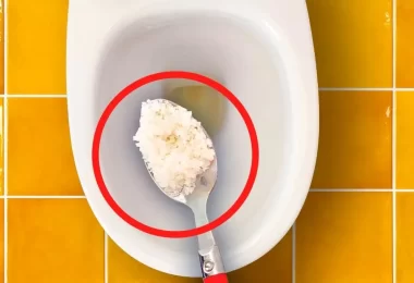 Sal inodoro para limpiparlo