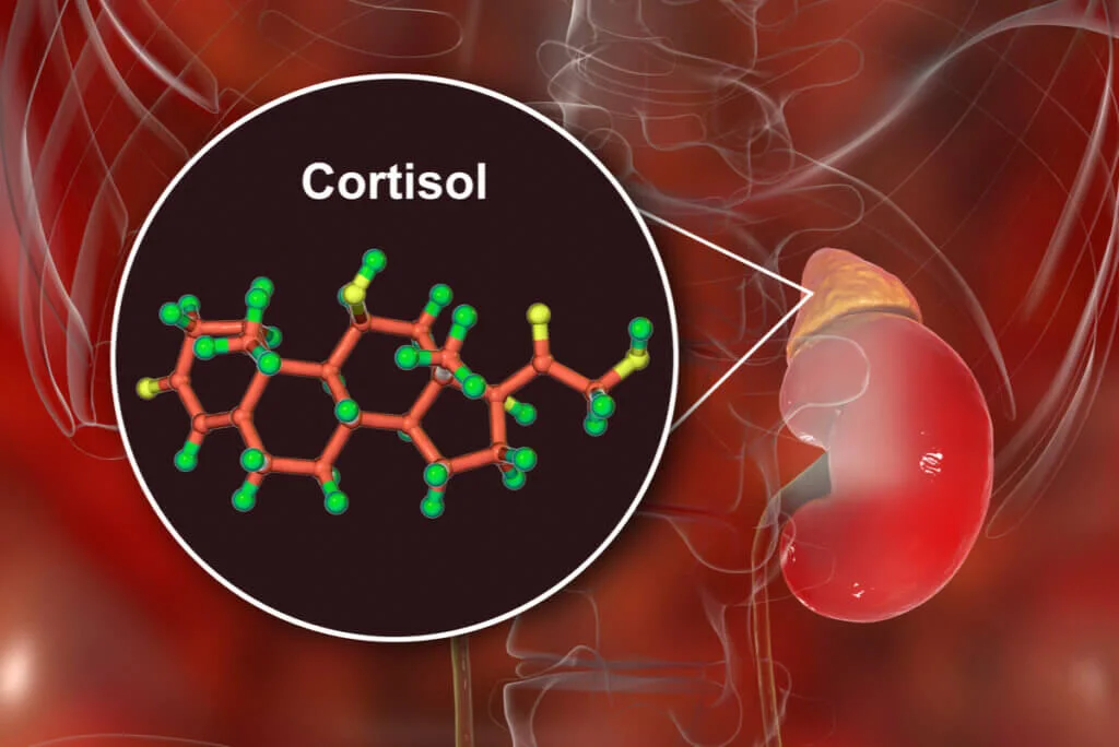 Niveles elevados de cortisol