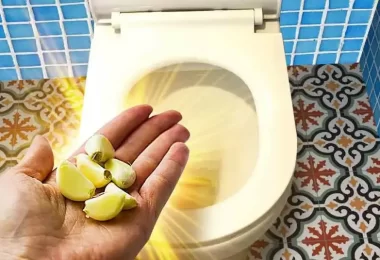 De esta manera puedes limpiar tu inodoro usando ajo