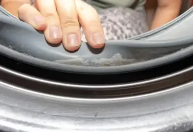 Hongos en la goma de la lavadora