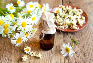 Manzanilla para tratar el cabello reseco