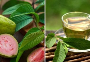 Guayaba para controlar la glucosa