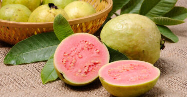 guayaba para regular el azucar en sangre